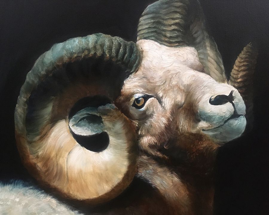 The Ram. Oil on Canvas. 120 x 100 cm