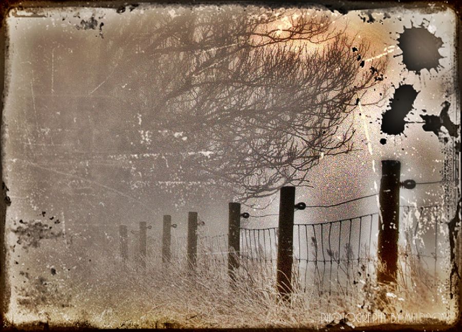 Fence
