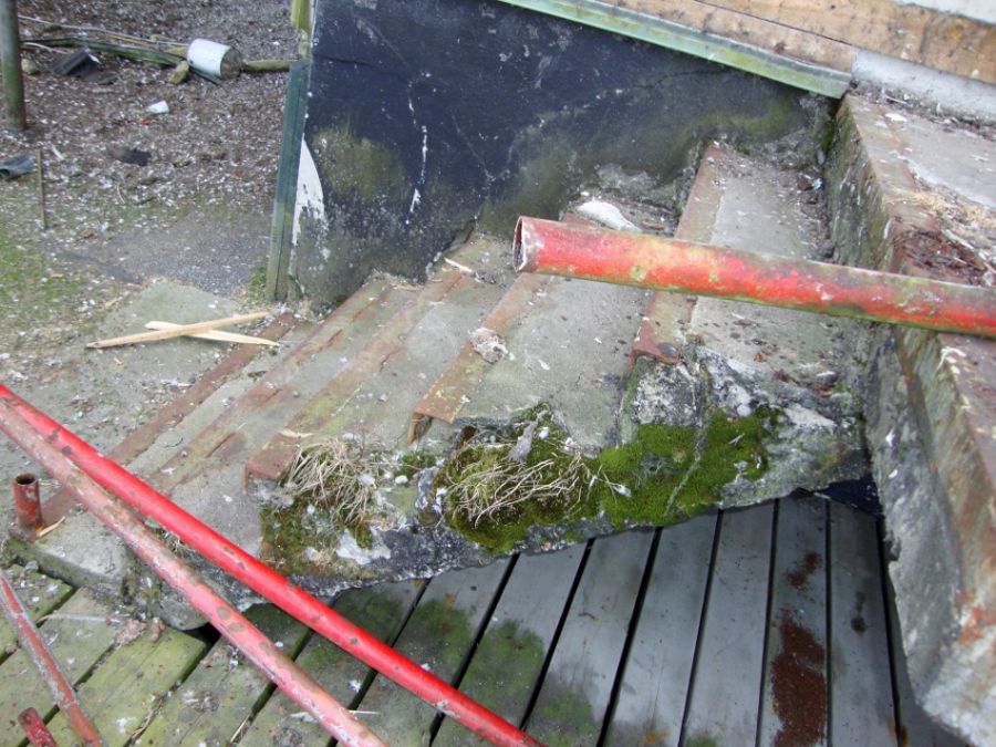 Mos går opad på trappen