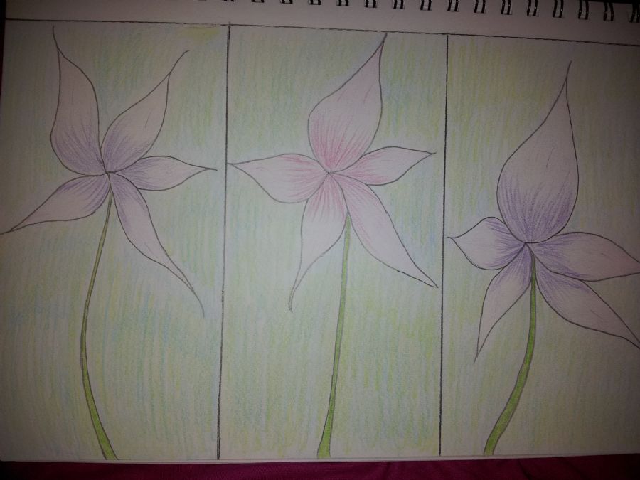 3 flowers