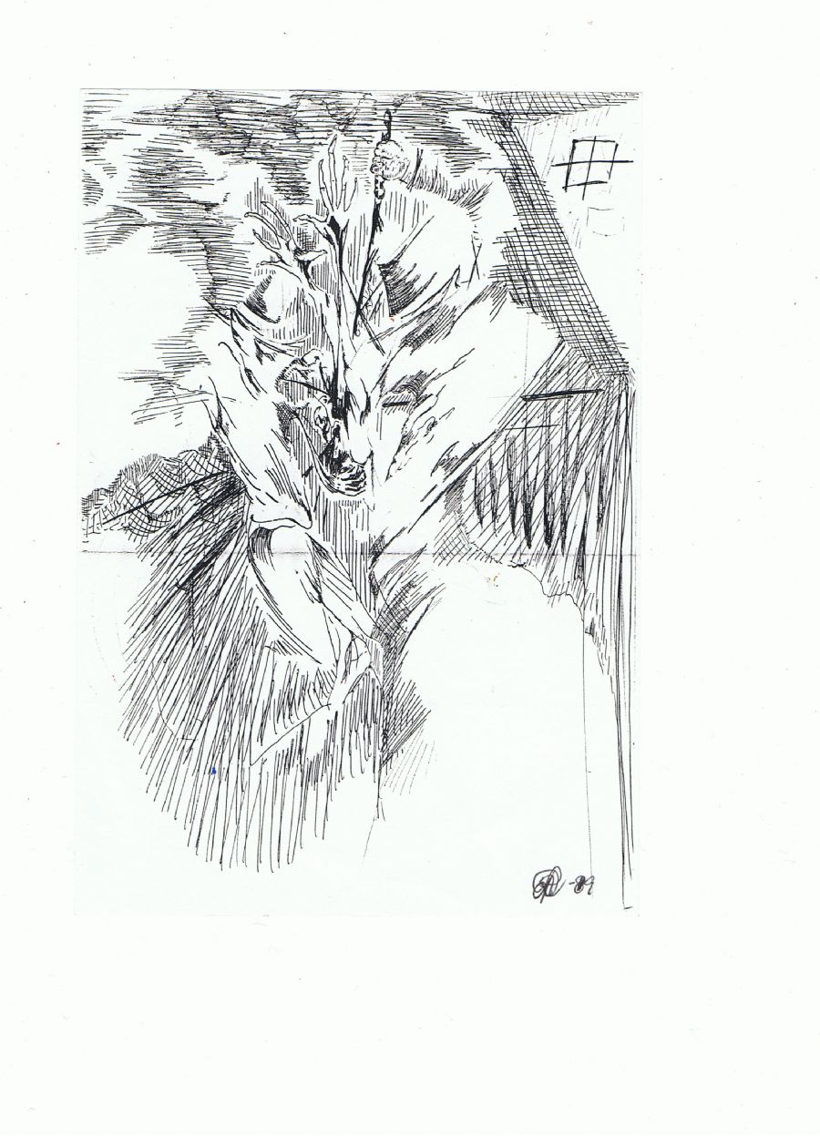 processen 6
