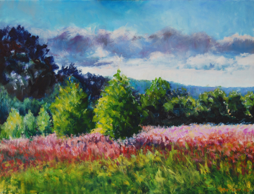 Sensommer (Solgt)
