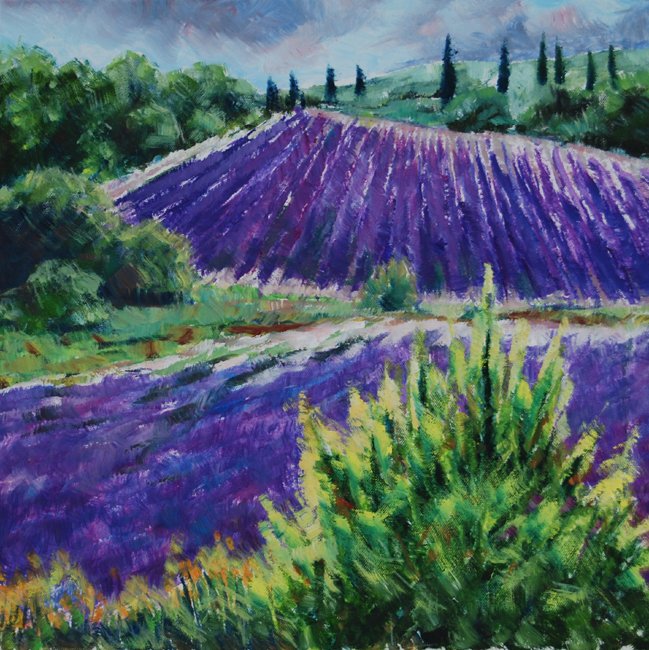 Lavendel Provence