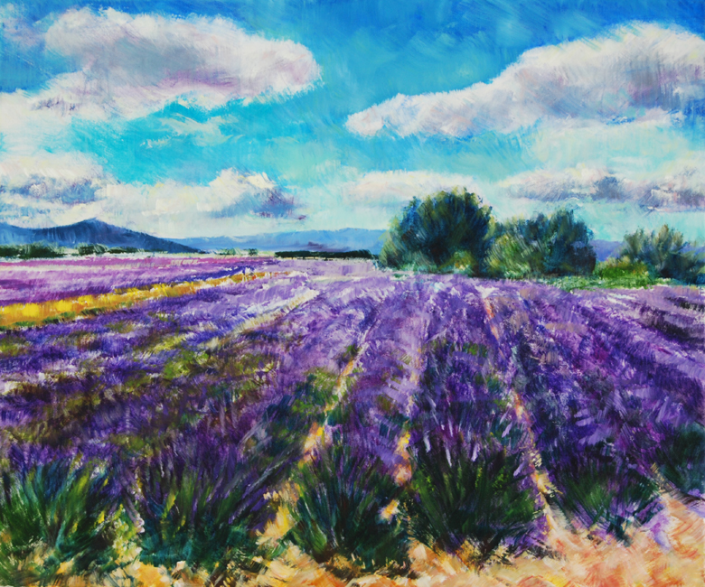 Lavendel mark Provence (Solgt)