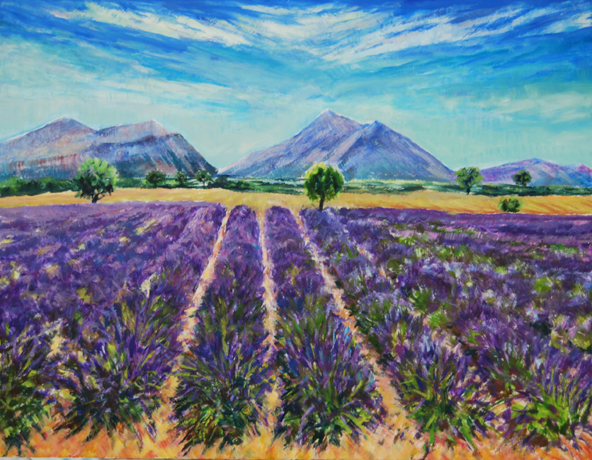 Lavendel i modlys Provence