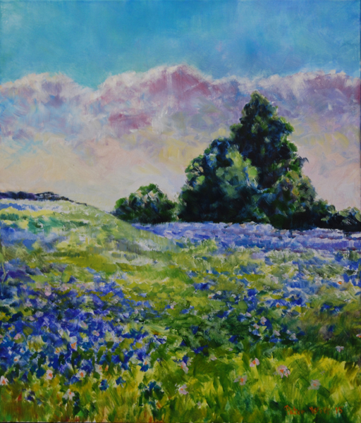 Kornblomster (Solgt)