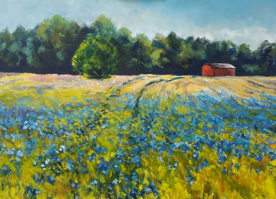 Kornblomster med rød lade(Solgt)