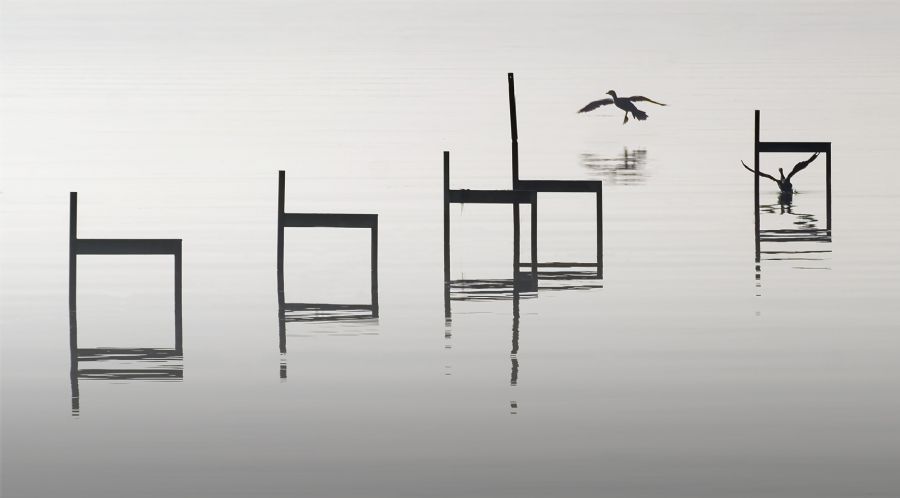 "Dead Calm with Birds" - box edition