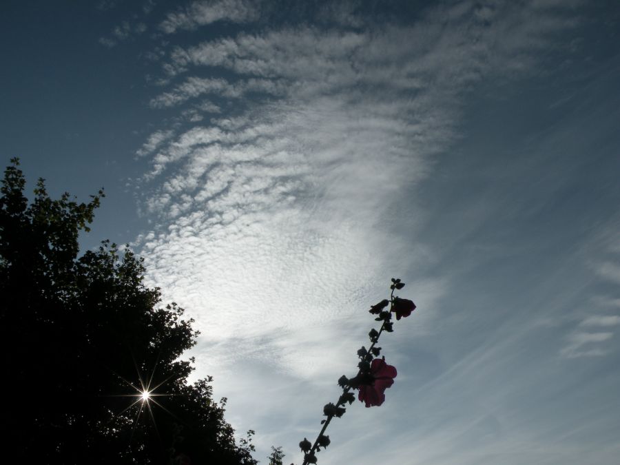 Sensommerhimmel