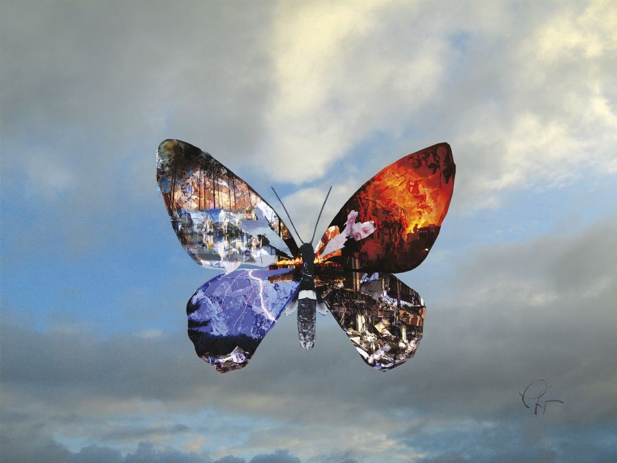 Butterfly håndsigneret