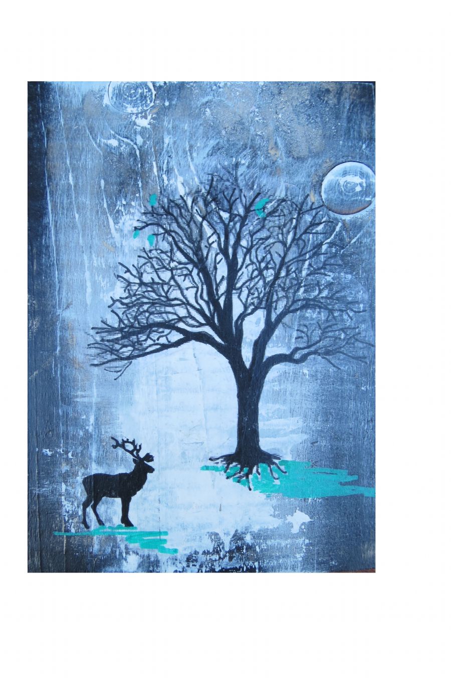 Deer