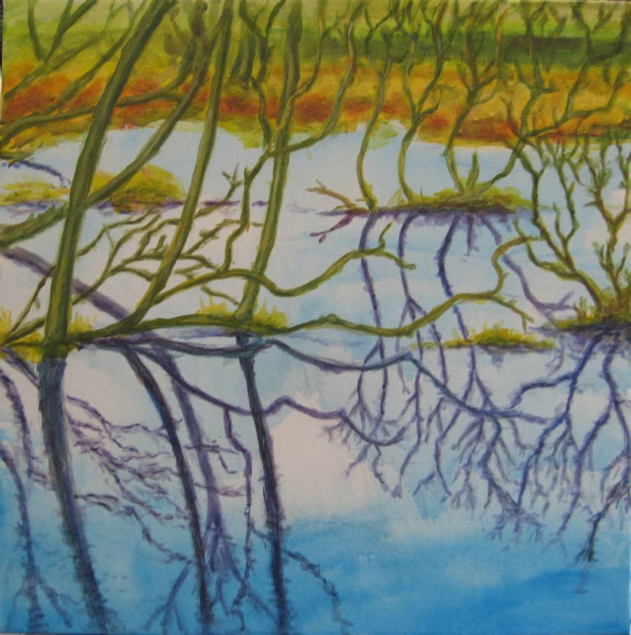 Mangrove I