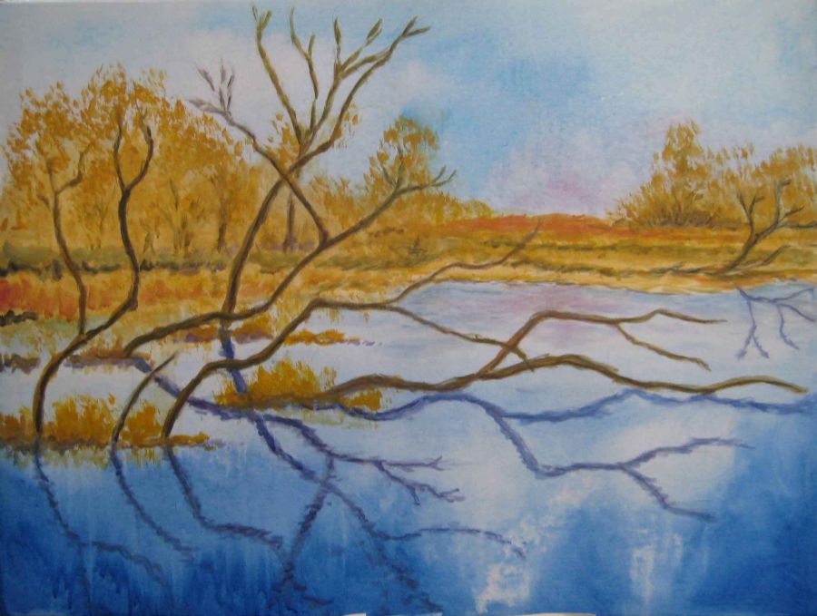 Mangrove II