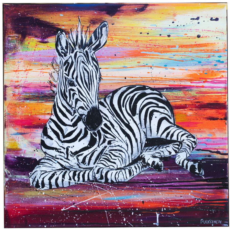 Baby Zebra