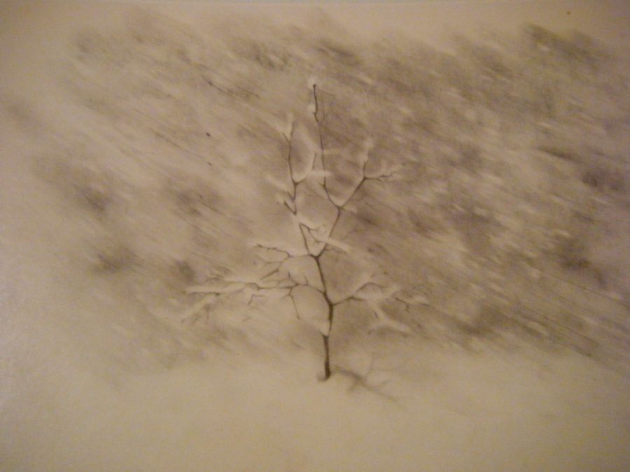 It's snowing