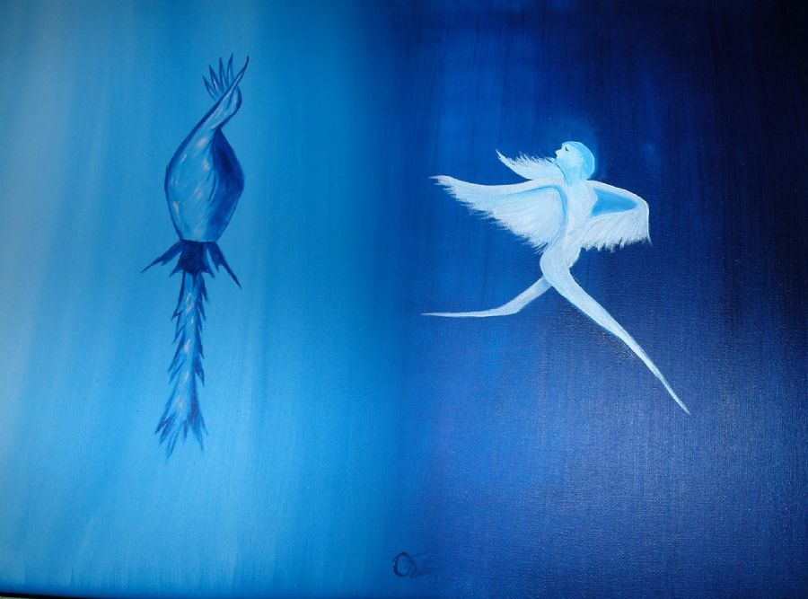 Blue Angel, sæt