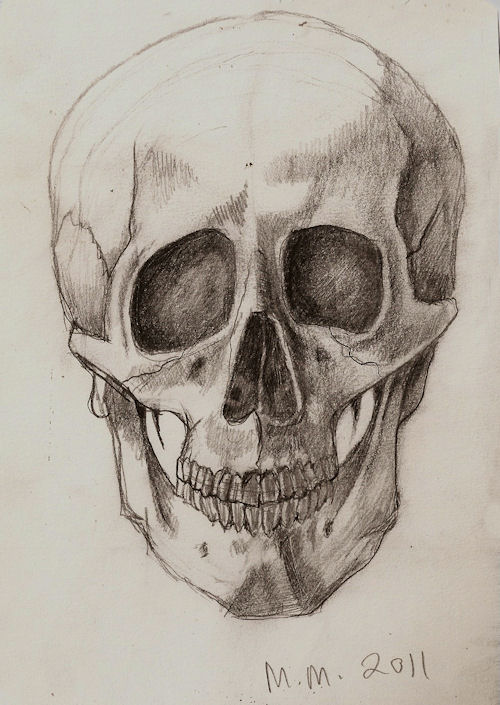 Anatomi Studie 10