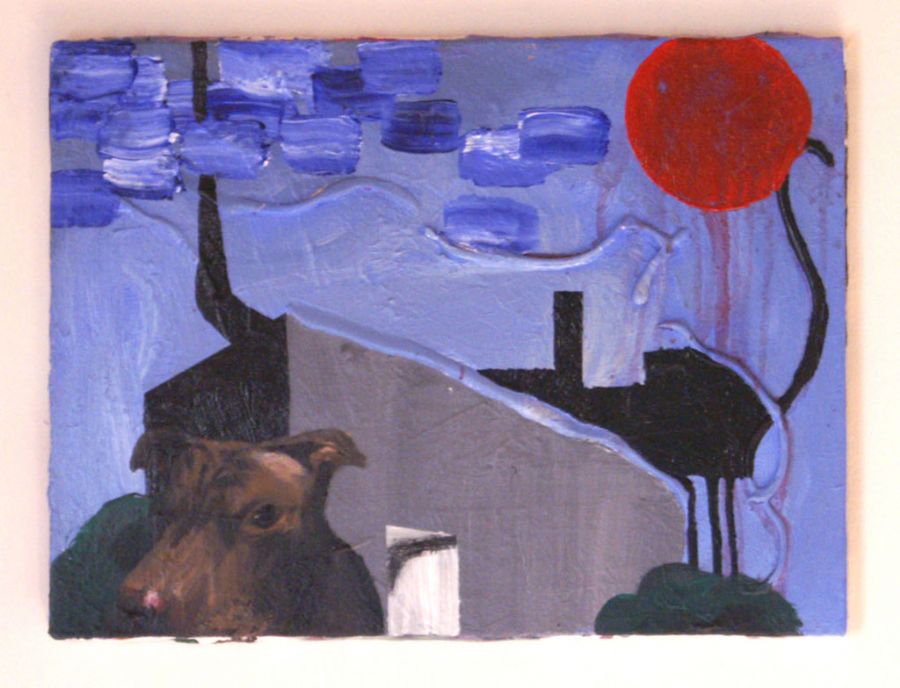 every dog has its day