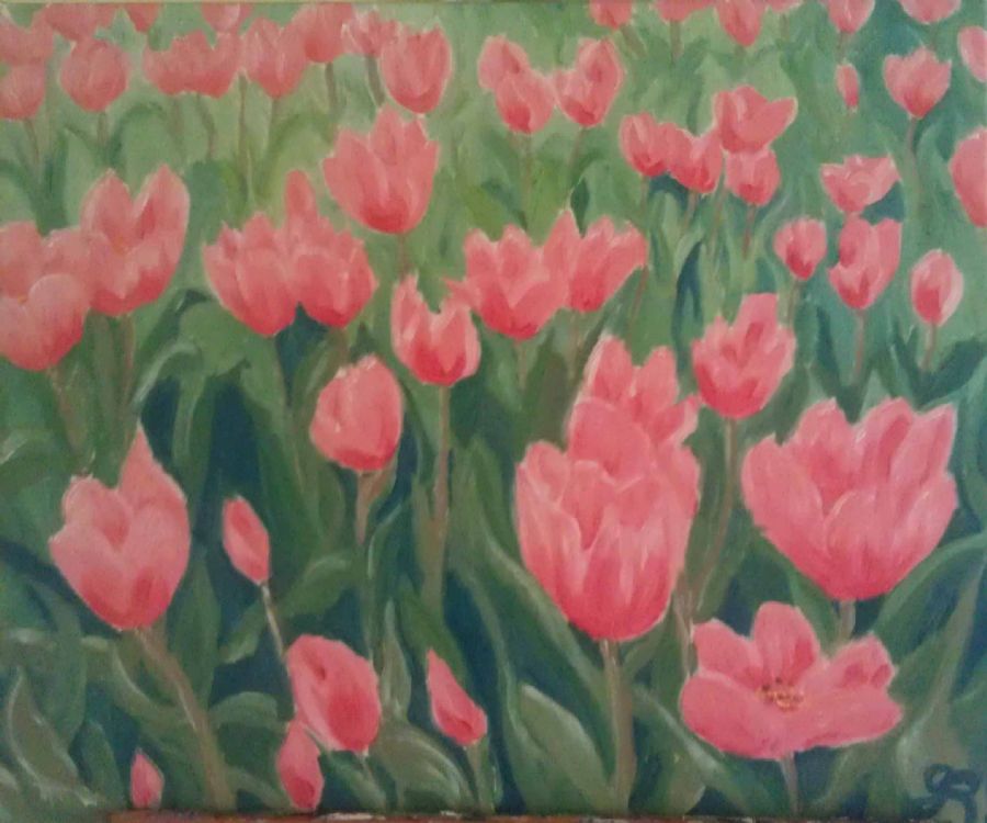 Tulipaner tulipaner