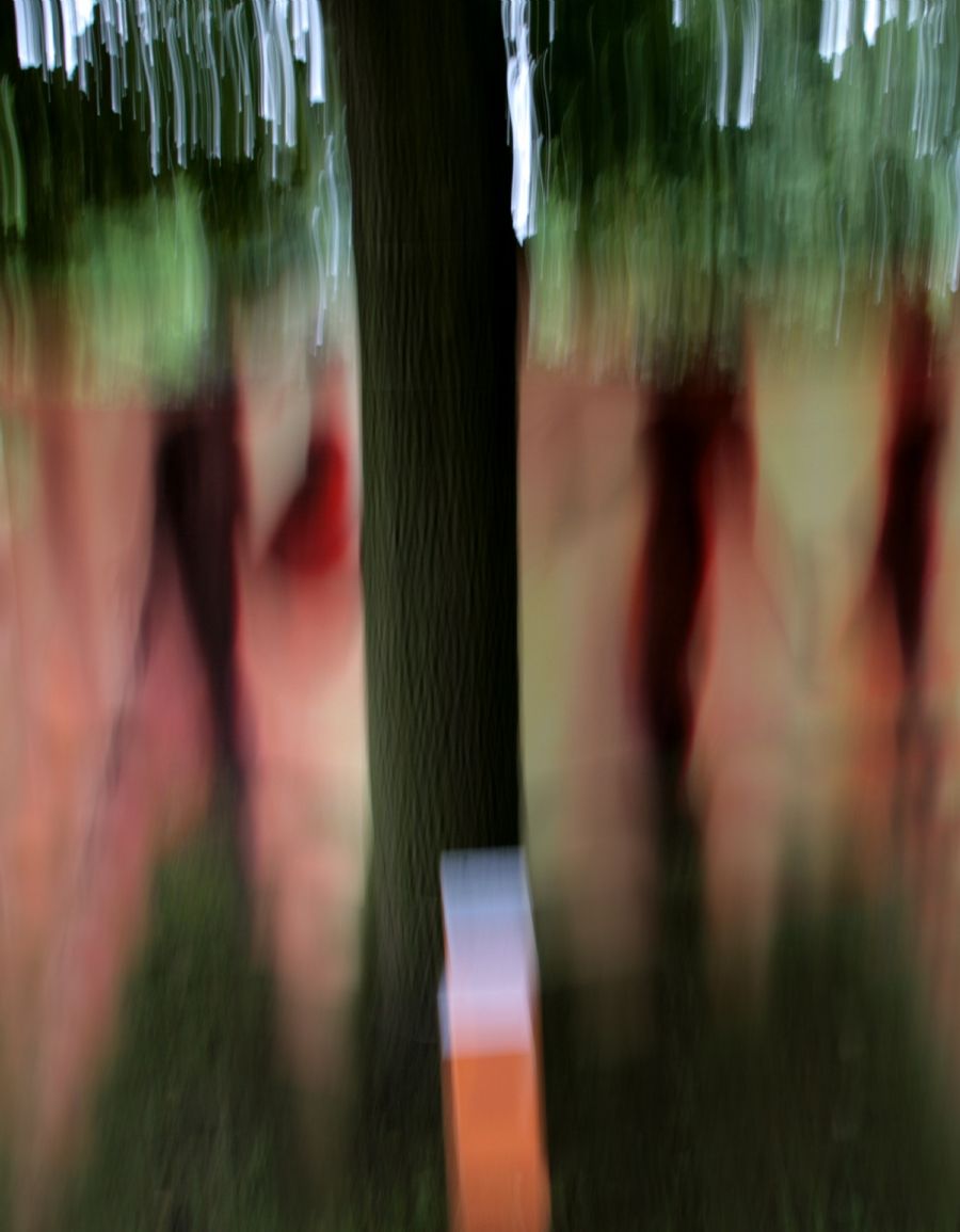 Structure I