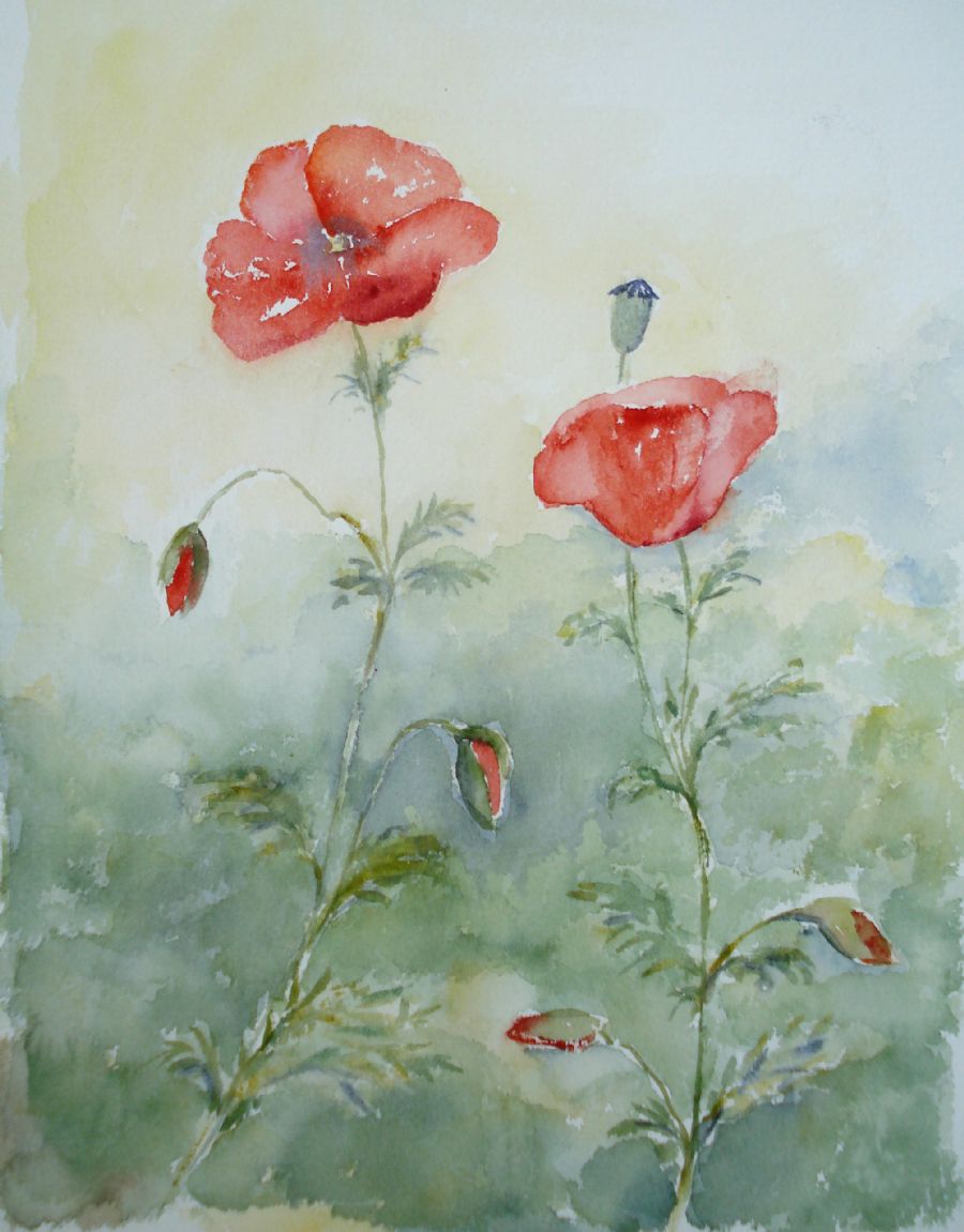 Valmuer