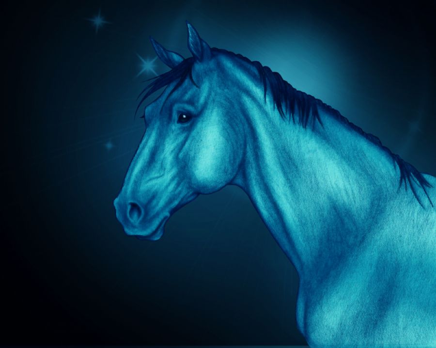 Deep blue night