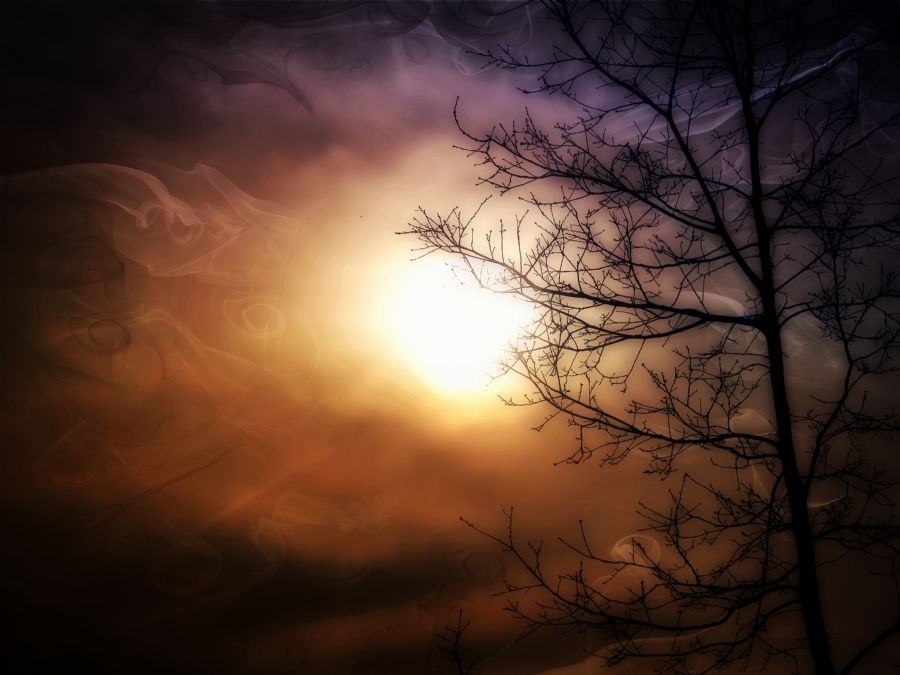Dreamy Moon