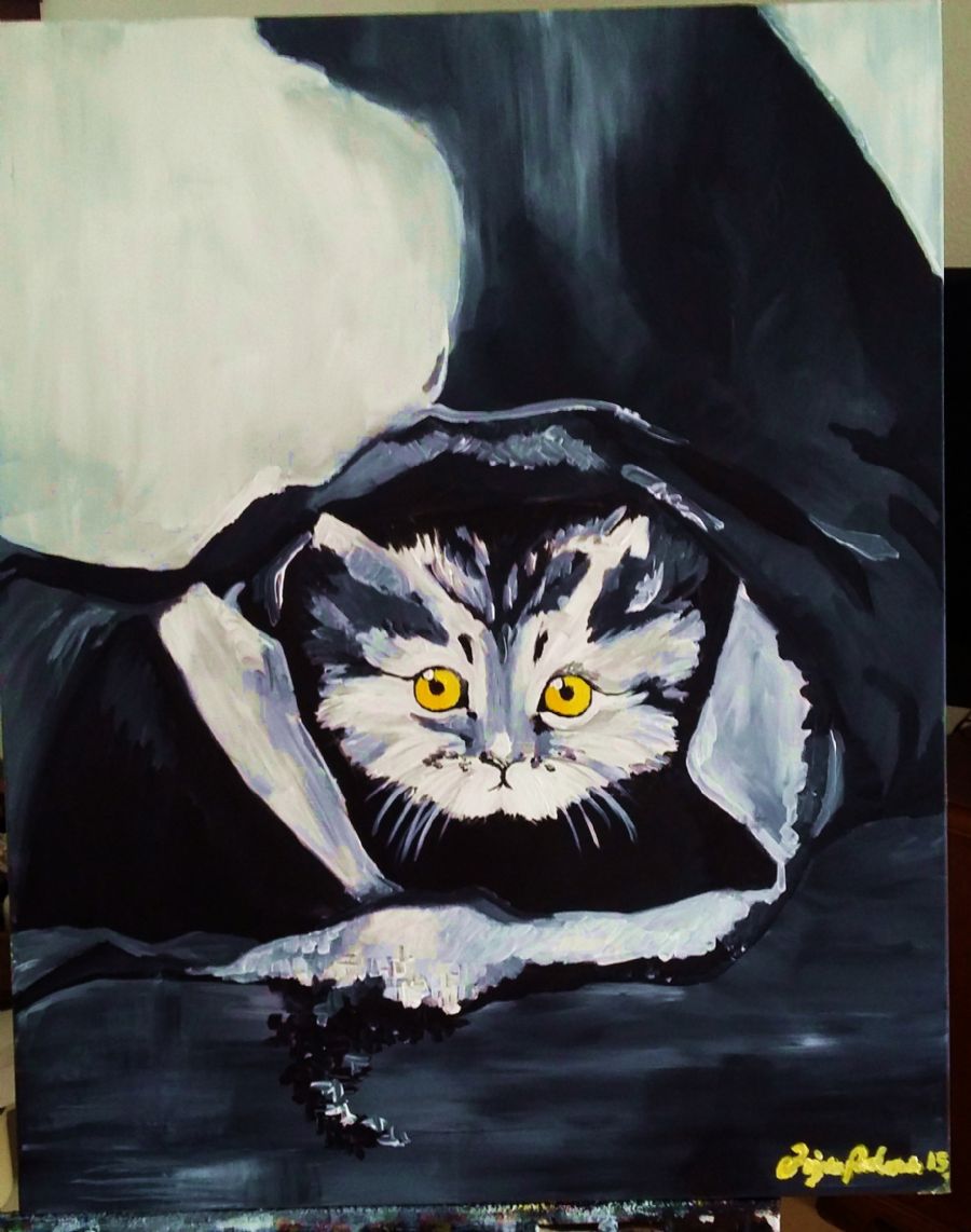 cat