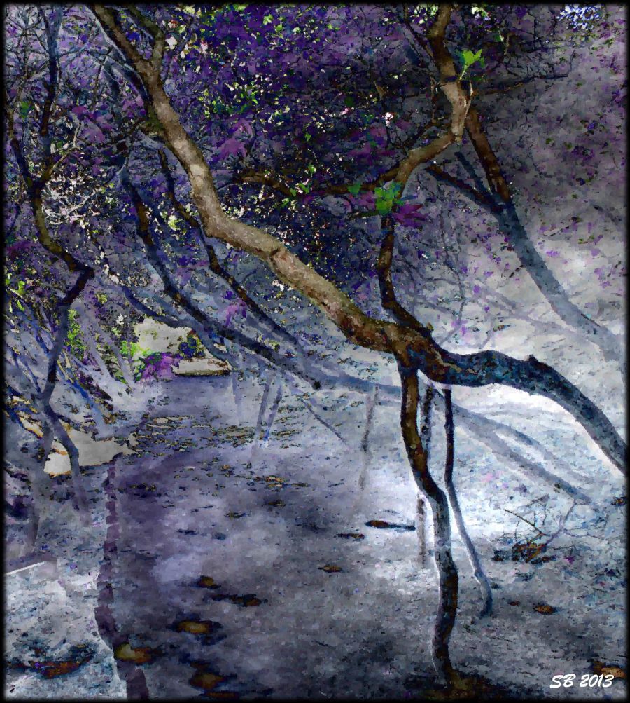 Branch