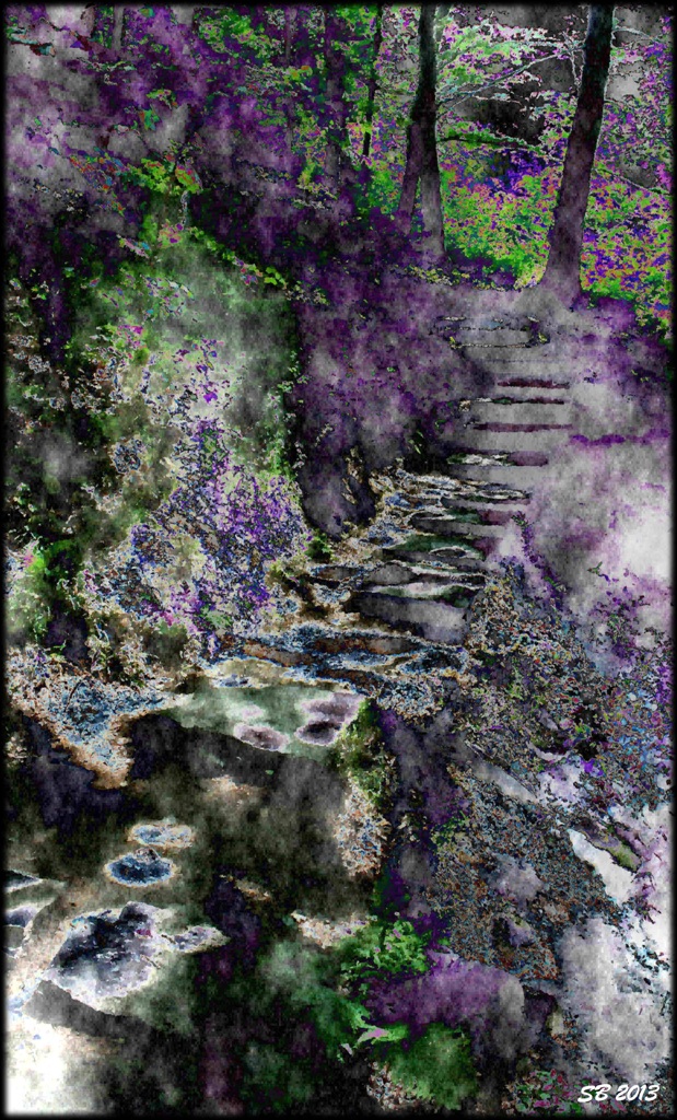 Forest path-2