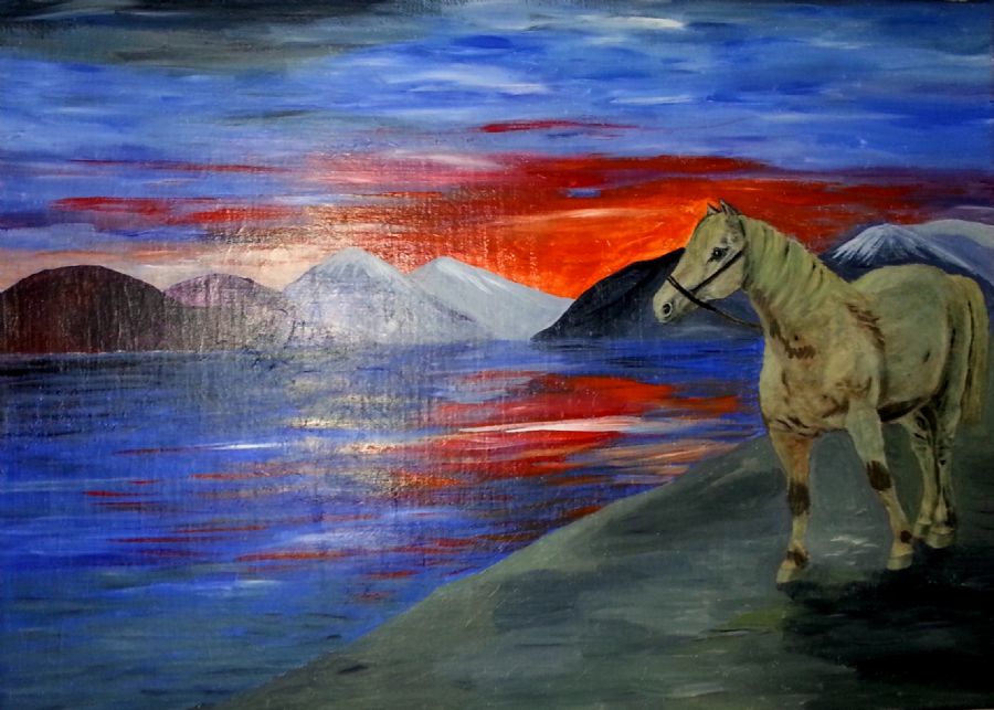 Lille hest på strand