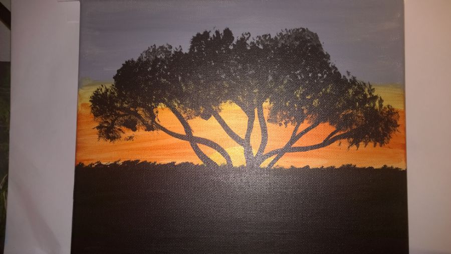 solnedgang på savannen