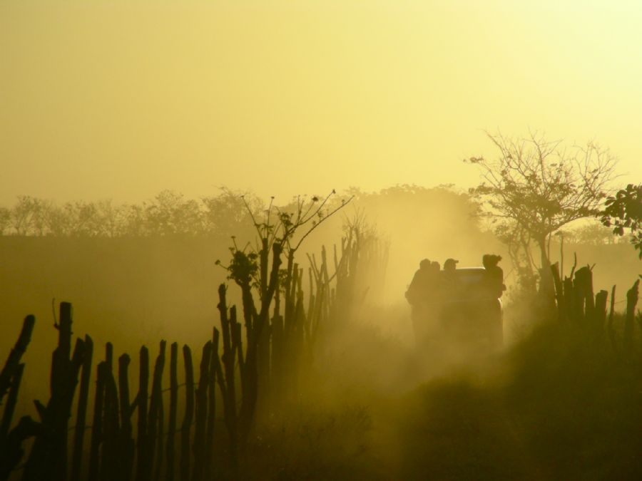 into the sun
