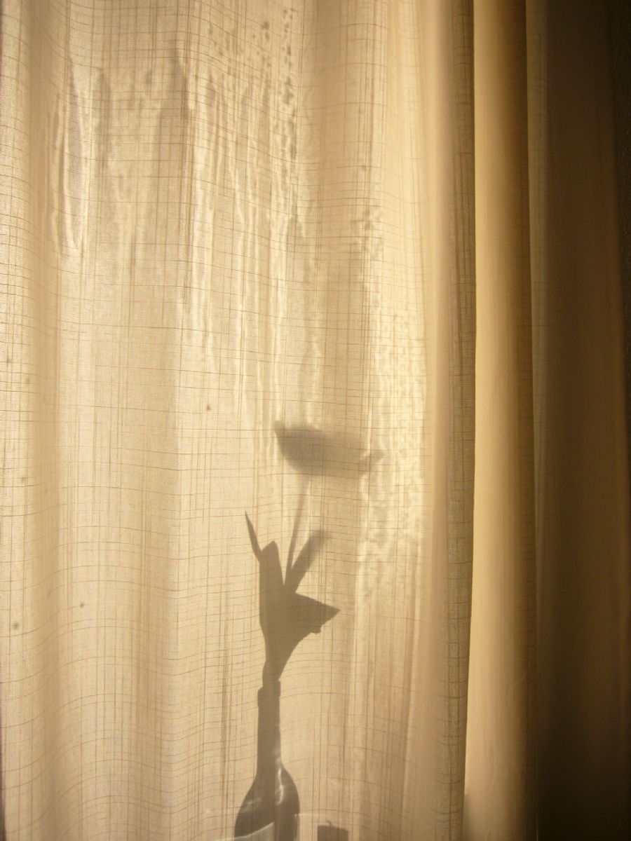 impression4