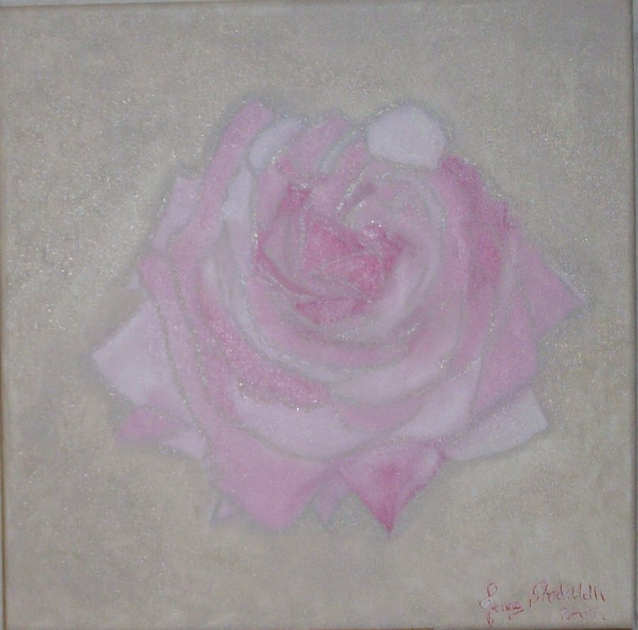 Følsom rose