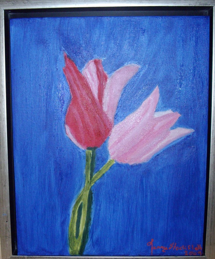 Tulipaner