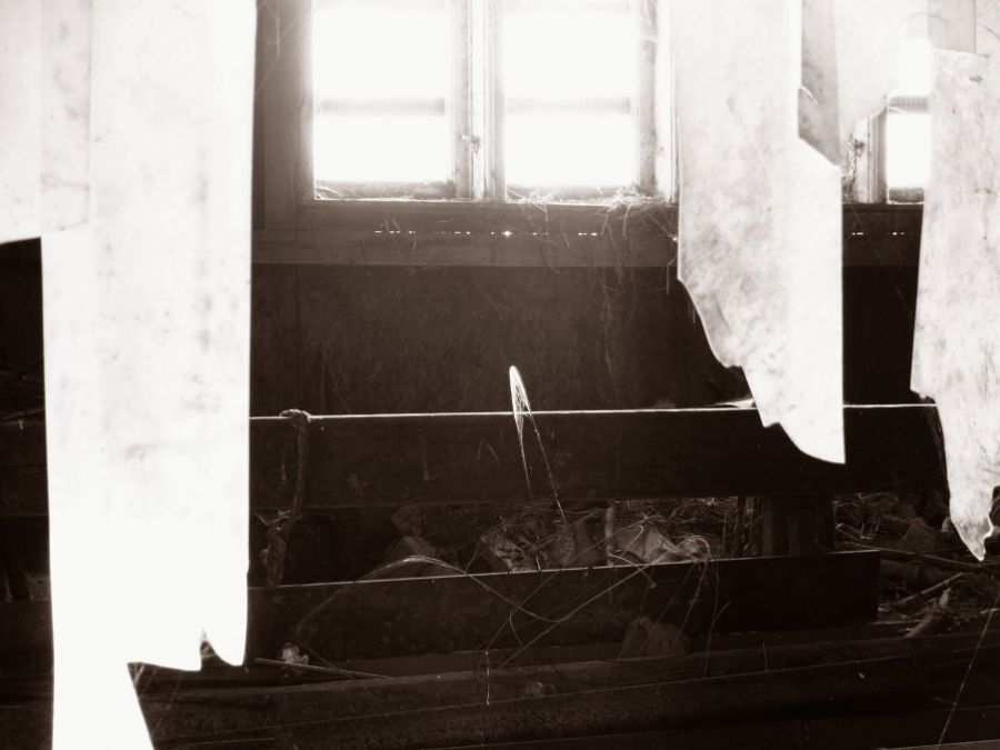the old cow house III