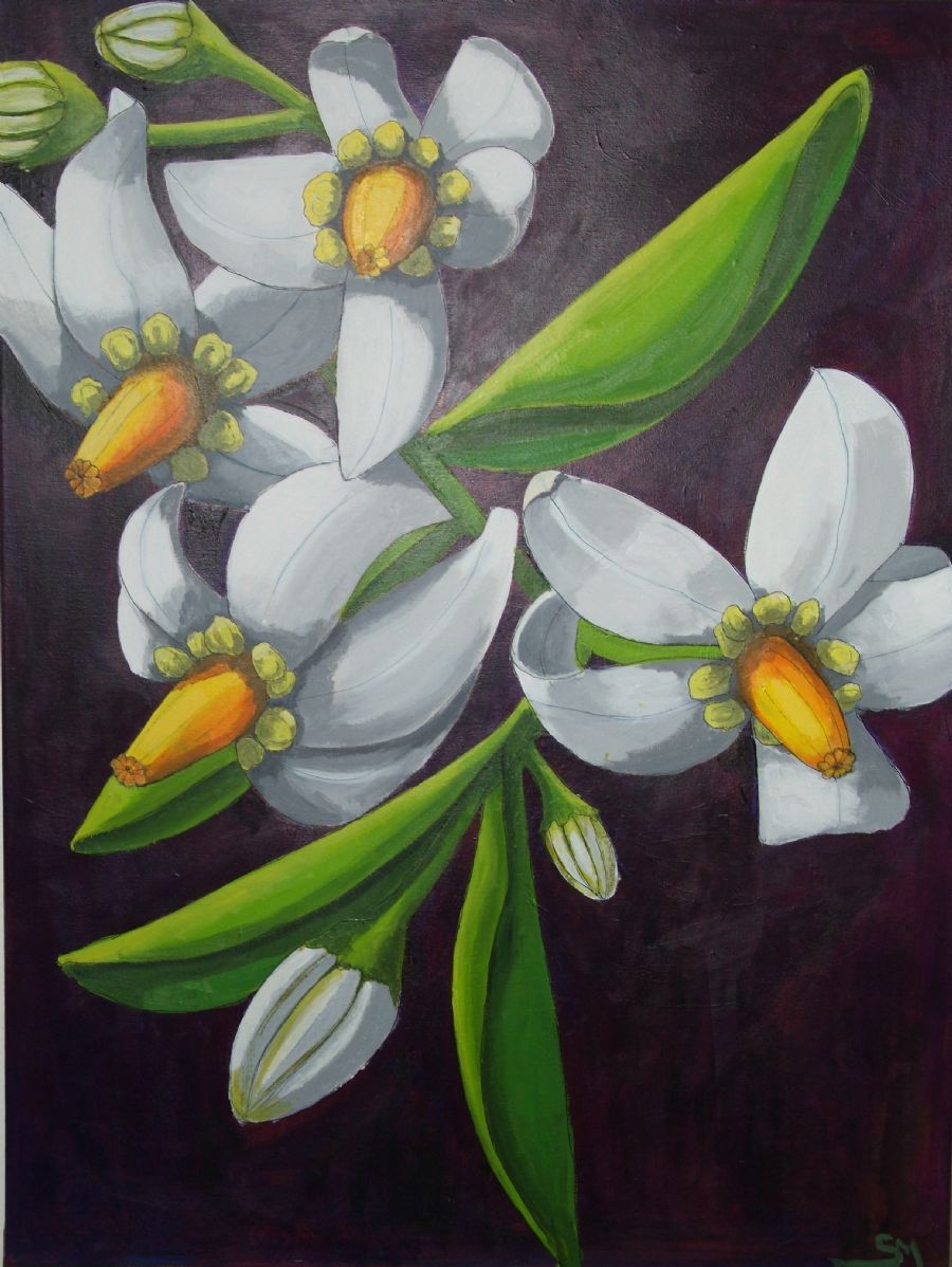 white flowers