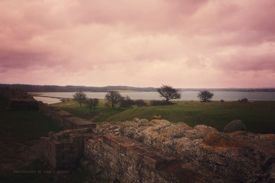 Kalø slotsruin I