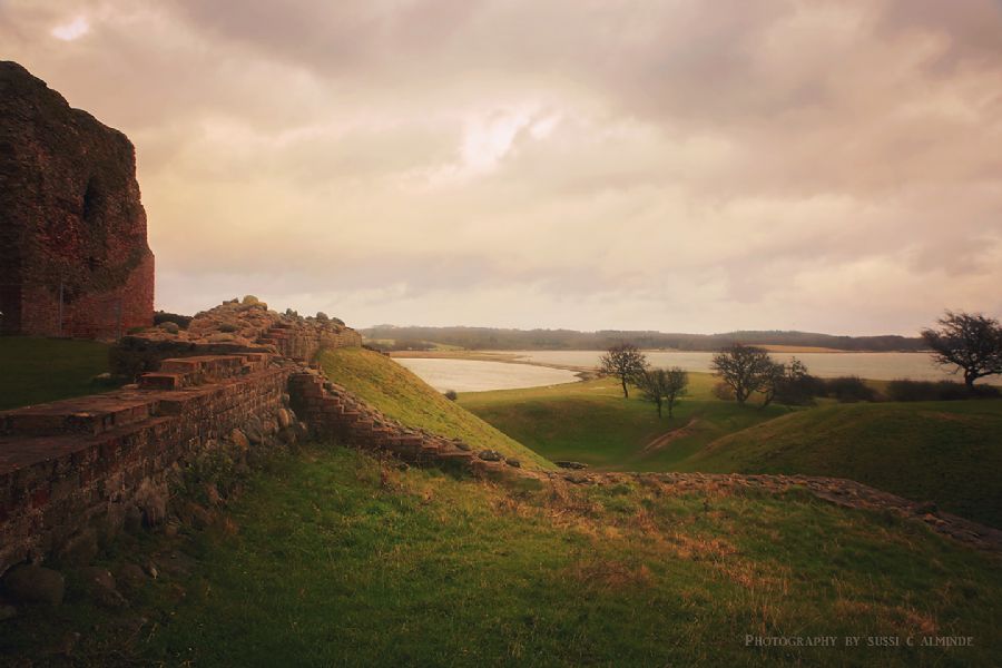 Kalø slotsruin III
