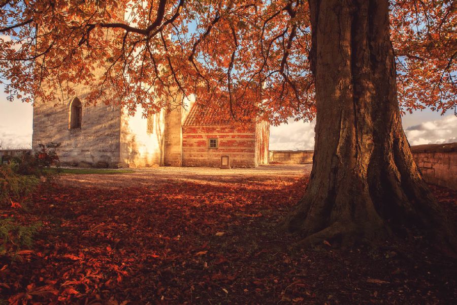 Højerup gl. kirke II Stevns klint unesco