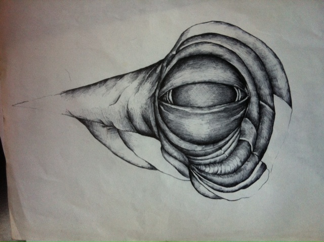 Eye