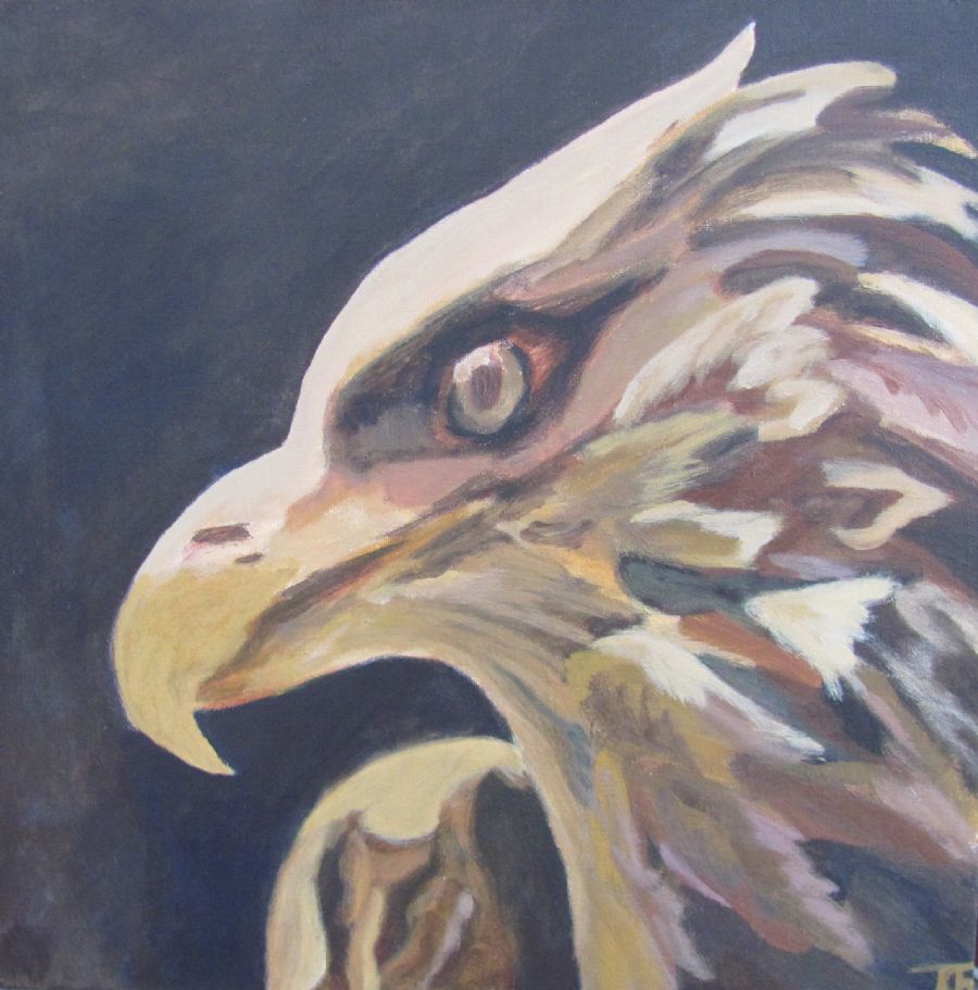 Ørn