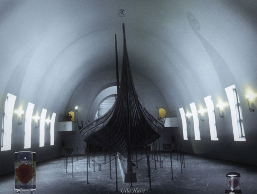VIPP - Vikingskib