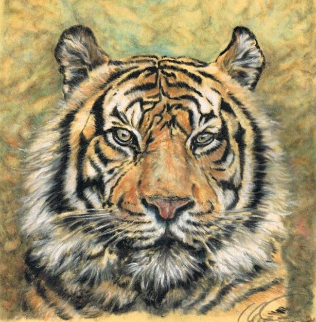 The Old Tiger