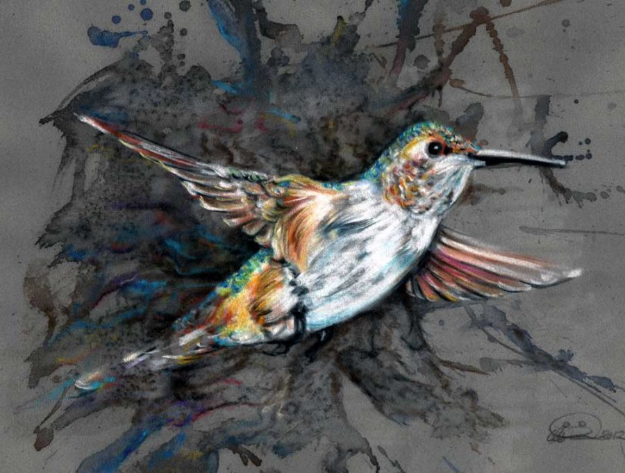 The emerge of the humming bird