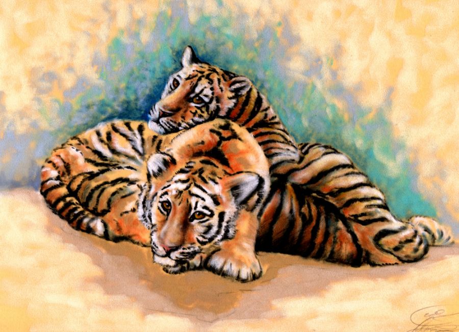 Babytiger