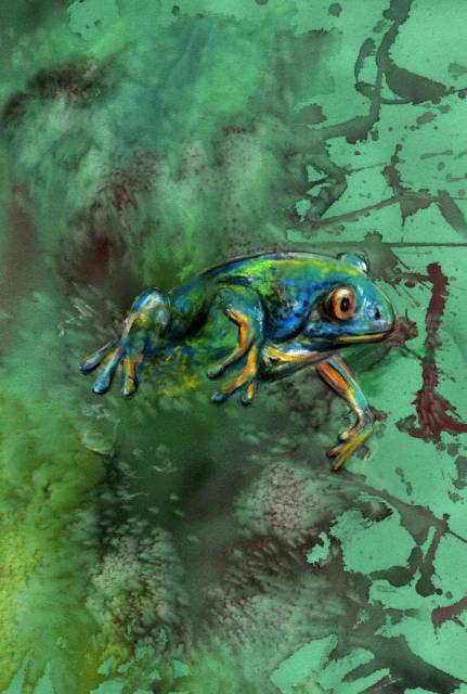 Frog emerge