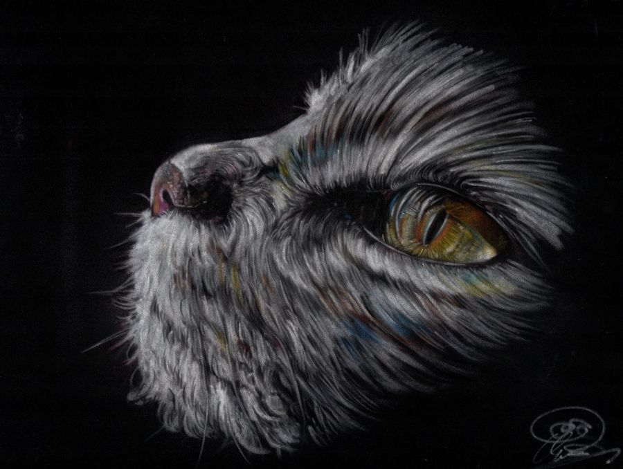 Title; The Cat, pastel on velour paper,