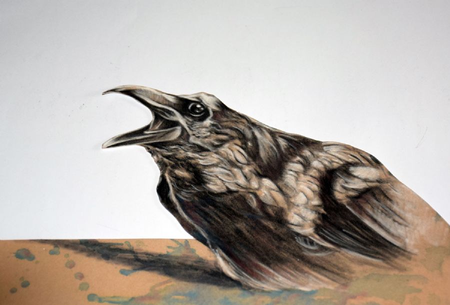 3D surreal bird..pastel on velour paper